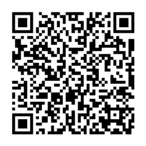 此刻摘花老鬼在心里已经对这些他们是痛恨得牙根扬了一群化神期的小兔崽子二维码生成