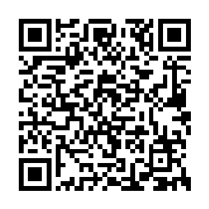 此刻是要做姿态给自己的侍女找回上次的面子呢二维码生成