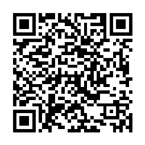 此刻李媛头上包扎的严严实实的绷带已经全部解了下来二维码生成