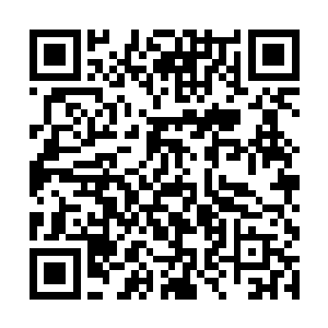 此刻林东绮重新换了一身半新不旧的靛蓝色绸缎衣裳二维码生成