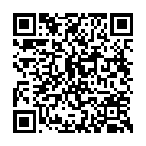 此刻林允儿和金在珉是更加光明正大的秀恩爱了二维码生成