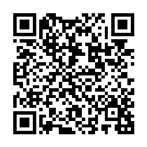 此刻林豹顿时不由的指向了其中一架刚刚降落在机场的飞机说道二维码生成
