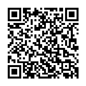 此刻正一个二个露出了一副惊愕的目光向着石门的另一方向望去二维码生成