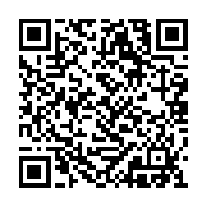 此刻正在极光车行的贵宾室中等待超梭检修完毕二维码生成