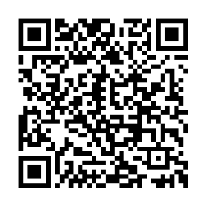 此刻正露出一副面若死灰的神态对着自己出声道二维码生成
