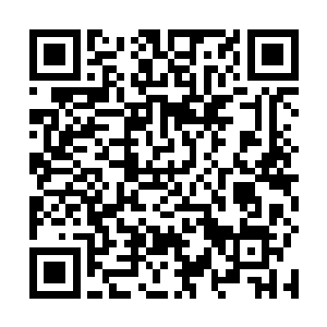 此刻正静静的躺着一个莫约半个巴掌大小的墨绿色古玉二维码生成