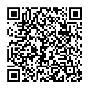 此刻比起眼睁睁的看着袍泽们在应州城塞大火中为女真人所屠戮干净二维码生成