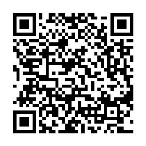 此刻王楠也是来到了苏凡和白子河所找的一家咖啡馆之中二维码生成