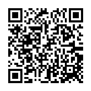 此刻男子看着苏凡的眼神之中也是有着一抹精光二维码生成