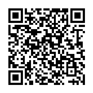 此刻白家的老太爷白任雄听着吓人汇报道苏凡的消息二维码生成