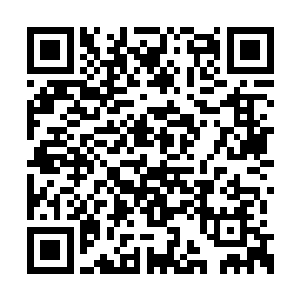 此刻的他看起来就像是一具被抽空了灵魂的躯壳二维码生成