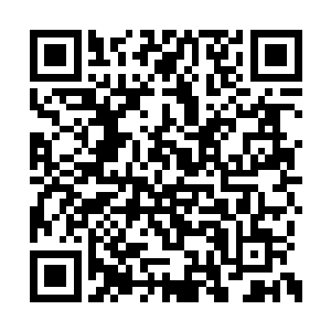 此刻的吕轻尘还没有伏羲那样强横无匹的计算力二维码生成