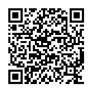 此刻的娑娜顿时扬了扬嘴角不由的对着苏凡说道二维码生成