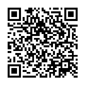 此刻的廖言顿时将目光转移到了这名衣衫破烂的老者身上二维码生成