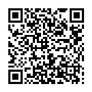 此刻的我已经完全被这样突如其来的庞大消息给镇住了二维码生成