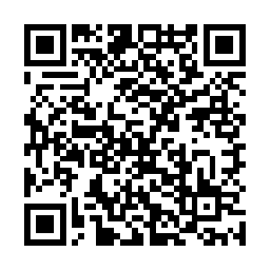 此刻的教皇路易斯二世缓缓的站起身子对着圣骑们说道二维码生成