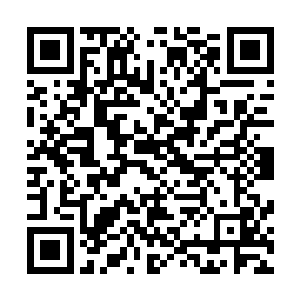 此刻的江帆等人正在神仙府里的院子里面吃着树上的水果呢二维码生成