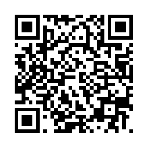 此刻看到擂台上一副忍者打扮的伊贺佐佐木二维码生成