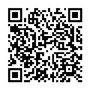 此刻站在楼顶之上的金牛圣骑顿时朝着天蝎圣骑询问道二维码生成
