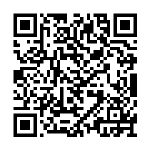 此刻站在白子河身后的护卫顿时朝着白子河说道二维码生成