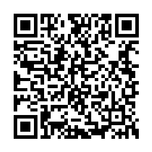 此刻苏凡甚至都有一种直接调转车头回家的冲动二维码生成