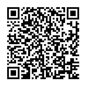 此刻苏凡的目光却是注视在东方可后面的两个年纪有些稍大的保镖身上二维码生成