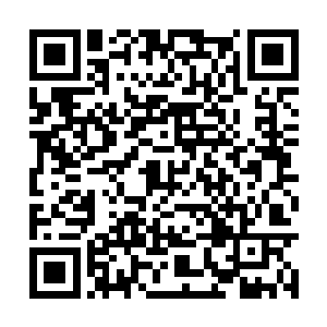 此刻苏凡瞬间一拳头立马朝着狮子圣骑轰砸了过去二维码生成