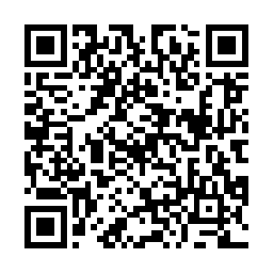 此刻苏凡等人顿时直接越过墙头进入了圣彼得教堂之中二维码生成