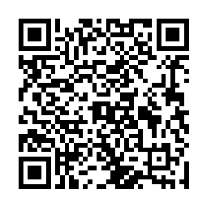 此刻萧雨顿时抬起步子连忙跑到了白子河和王楠的身后二维码生成