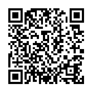 此刻被这些家伙受过保护费的人看着这些人被苏凡给打了二维码生成