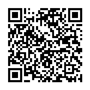 此刻躲在被窝的洛水嫣伸出脑袋看着苏凡顿时询问道二维码生成