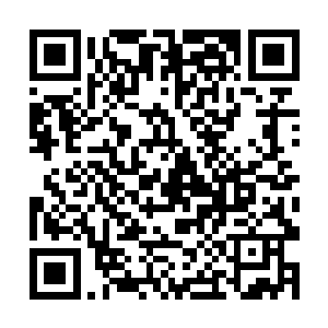 此刻躺在地上的东方天纵喷出了一口鲜血冷冷的笑道二维码生成