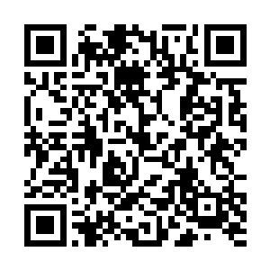 此刻还以远距离灵器来攻击他他自是不会再担心什么二维码生成