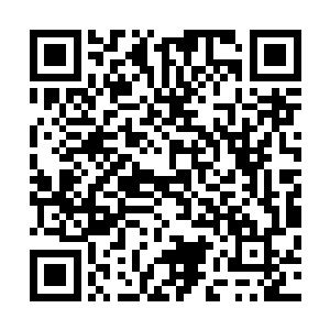 此刻还有一股股恐怖至极的冰寒力量顺着他虎魄刀席卷而来二维码生成