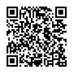 此刻这帮新生们身上标志性的白色制服已经被汗水浸透了二维码生成