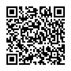此刻这曼陀罗华之盾简直就像刚从火炉里面捞出来一样二维码生成