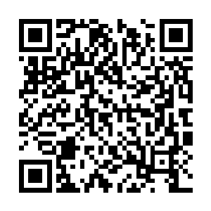 此刻这果树上面正结着那么十来个金黄色的小果子二维码生成