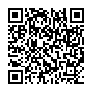 此刻进入空灵之境的苏凡也是没有丝毫的留手之意二维码生成