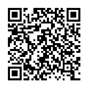 此刻那尸王风镰身体周身都是一股股疯狂涌动的阴煞之气二维码生成