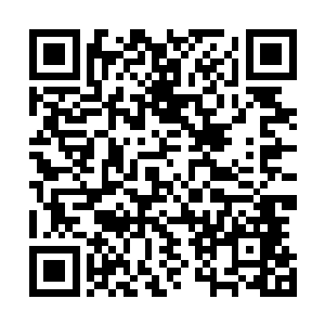 此刻那银丝蔓延的速度也依旧不如那红色火线的蔓延的速度二维码生成
