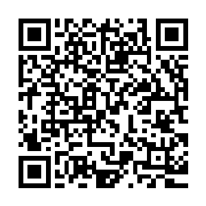 此刻酆都大帝所召唤出来的转生轮盘不过只是一道能量投影而已二维码生成