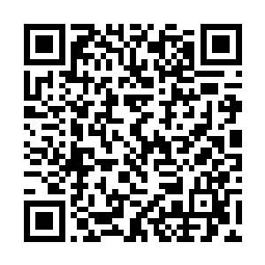 此刻长老就站在对面的大厦门口笑眯眯的看着这一切二维码生成