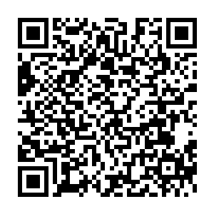 此刻顿时将给龙王之前说的遭遇全部都给李城还有虎啸天说了一遍二维码生成