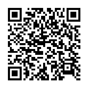 此刻黑衣人脸上的黑布也被柳叶长剑给划开掉落在地上二维码生成