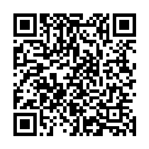 此刻龙王的双手都被两人个抓的紧紧的根本容不得龙王挣脱二维码生成