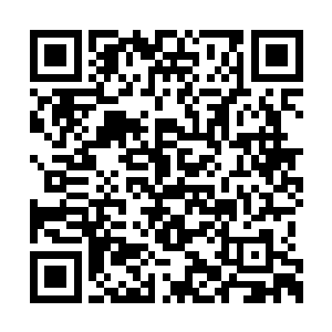 此刻龙王的情景不就是跟着自己那时候的很像吗二维码生成