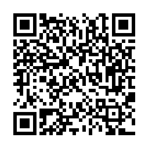 此刻龙王顿时也是将目光汇集在了两名保镖的身上二维码生成