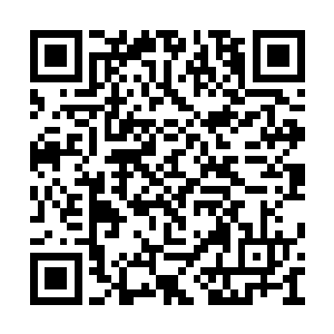 此前他听闻孟猊一大早就骑着鸵鸟出去散步去了二维码生成