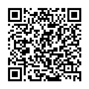 此前发生摩擦的魏庄和苏木正并列跪在下方的地板上二维码生成