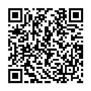 此前对黑莲算计的那各种重生信息优势已不复返了二维码生成